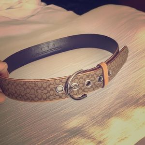Coach belt